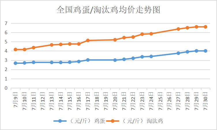 北京大洋路雞蛋今日行情，探尋內(nèi)心平靜的雞蛋之旅