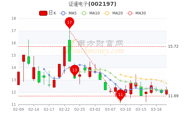 證通電子股票價格回顧與洞察，深度解析及市場趨勢分析